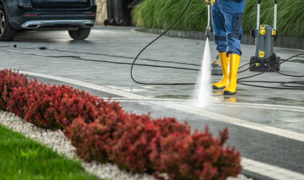 Best Solar Panel Cleaning  in Pontoon Beach, IL