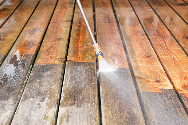 Best Fence Cleaning  in Pontoon Beach, IL